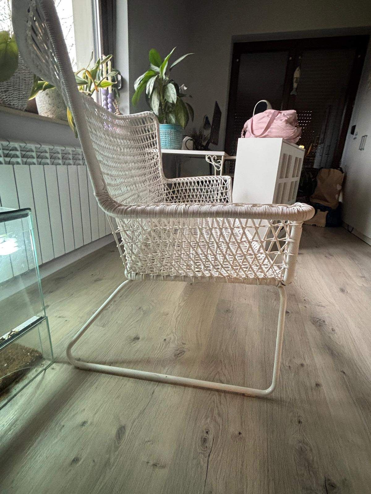 Zdjęcie od sprzedawcy