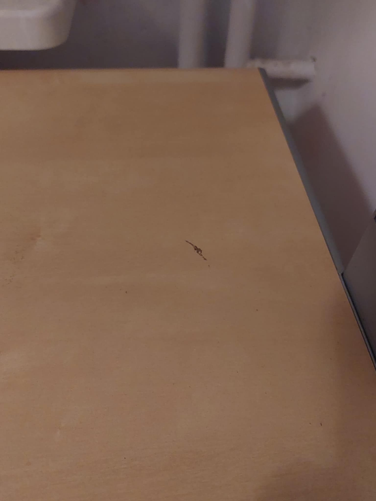 Zdjęcie od sprzedawcy