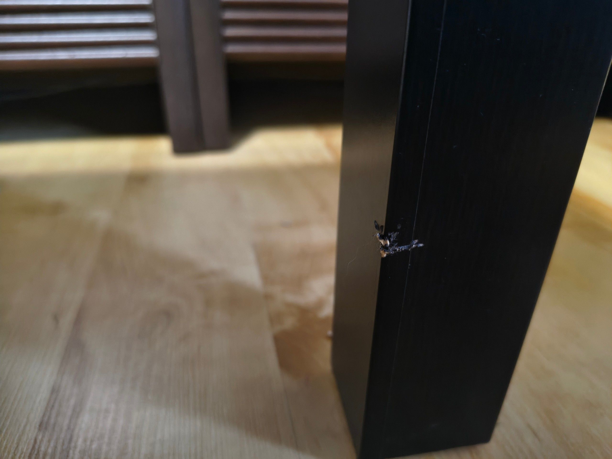 Zdjęcie od sprzedawcy