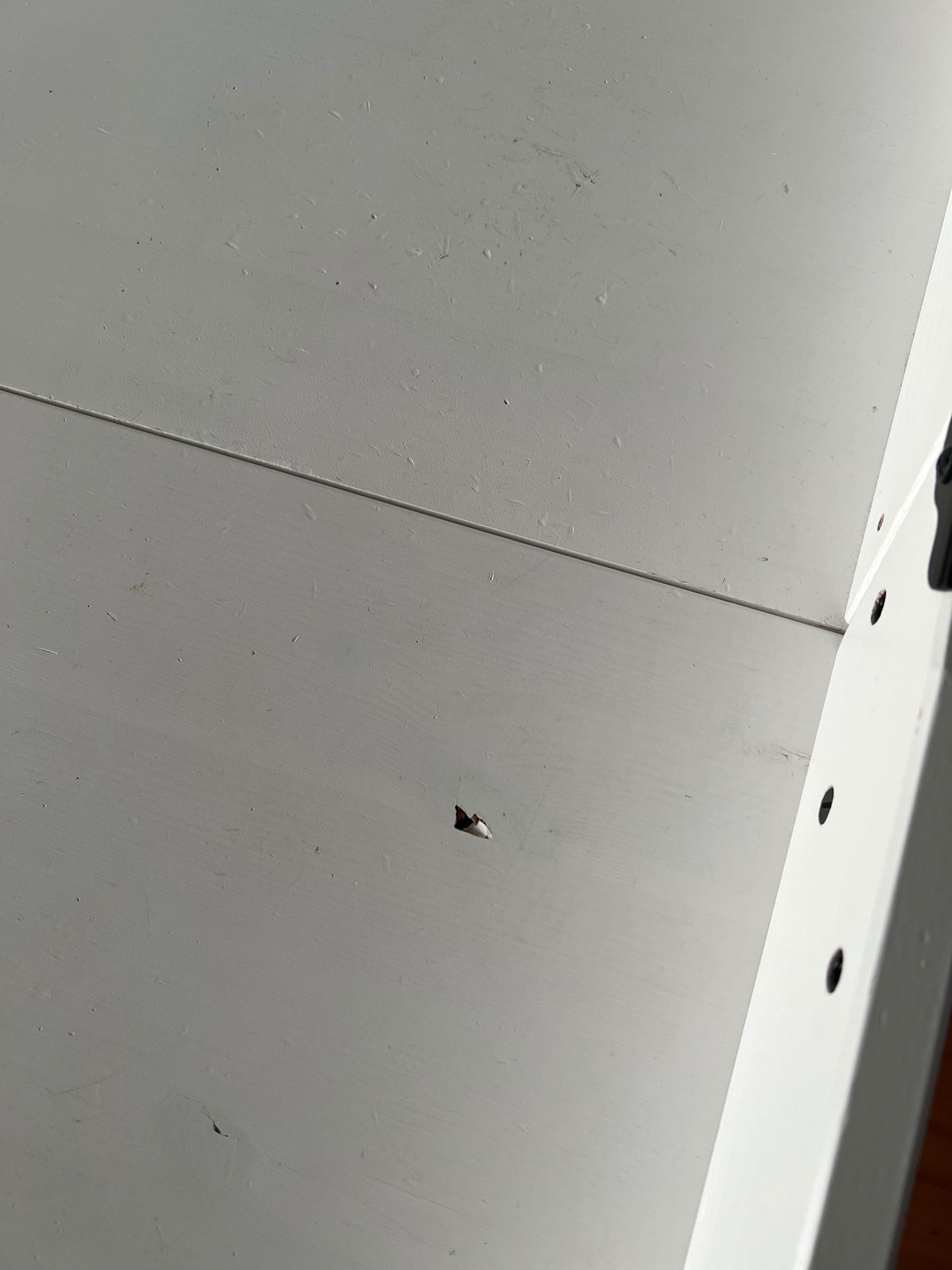 Zdjęcie od sprzedawcy