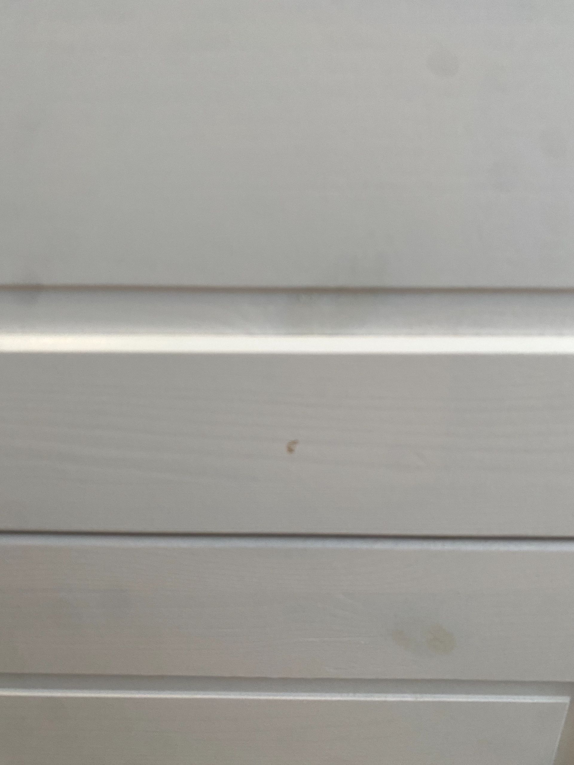 Zdjęcie od sprzedawcy