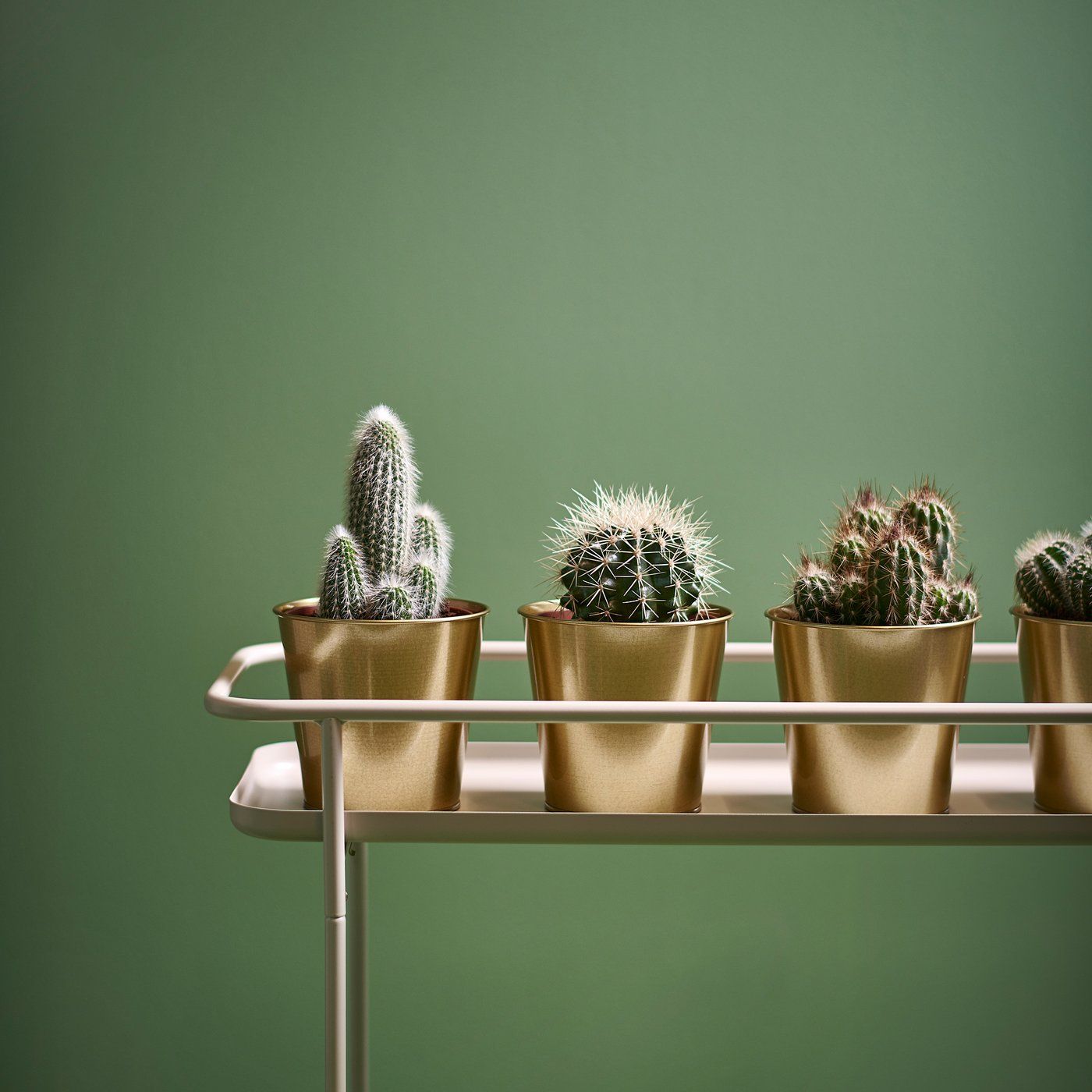 Obraz z katalogu IKEA