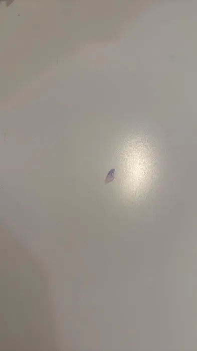 Zdjęcie od sprzedawcy